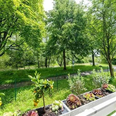 Apartman Traum Direkt Am Bodensee Mit Seesicht